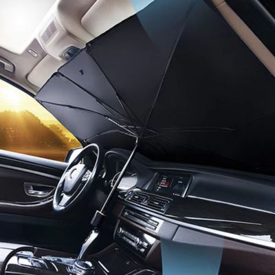 Pare soleil voiture Ténèbryse grand modèle